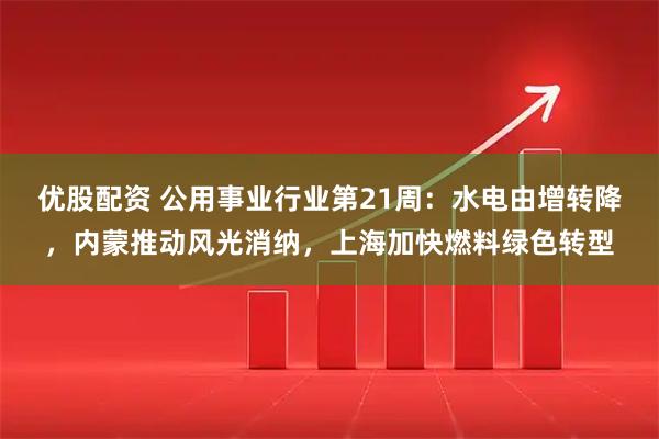 优股配资 公用事业行业第21周：水电由增转降，内蒙推动风光消纳，上海加快燃料绿色转型