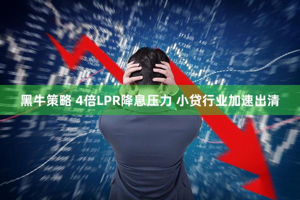 黑牛策略 4倍LPR降息压力 小贷行业加速出清