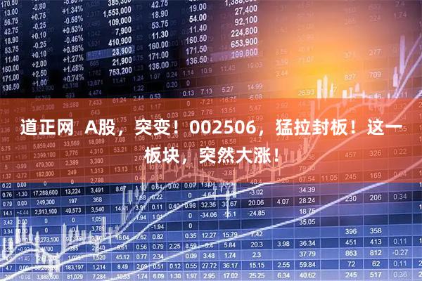 道正网  A股，突变！002506，猛拉封板！这一板块，突然大涨！
