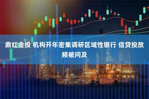 鼎红金投 机构开年密集调研区域性银行 信贷投放频被问及