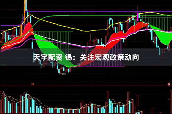 天宇配资 锡：关注宏观政策动向