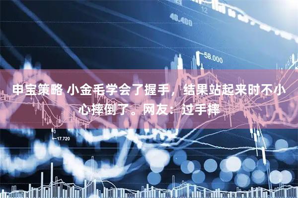 申宝策略 小金毛学会了握手，结果站起来时不小心摔倒了。网友：过手摔