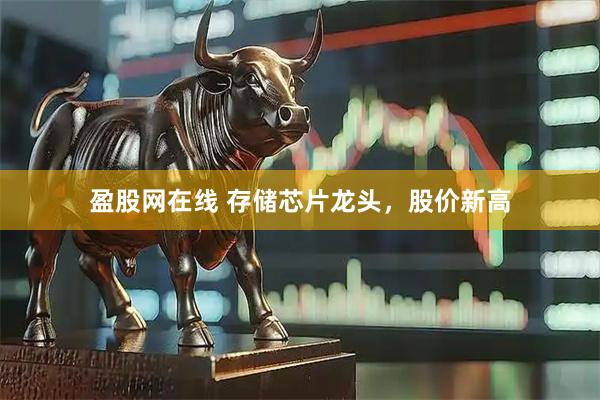 盈股网在线 存储芯片龙头，股价新高