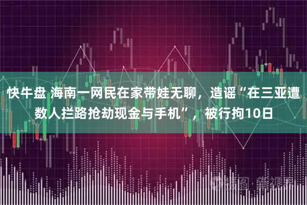 快牛盘 海南一网民在家带娃无聊，造谣“在三亚遭数人拦路抢劫现金与手机”，被行拘10日